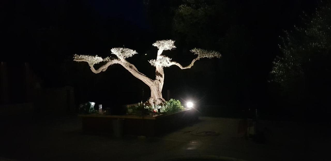 Quissac  Les Gites De L'Arbousier מראה חיצוני תמונה