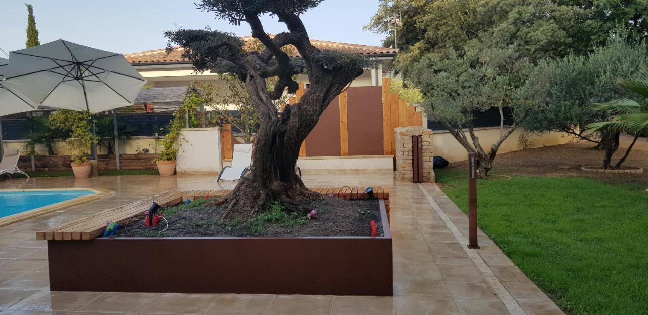 Quissac  Les Gites De L'Arbousier מראה חיצוני תמונה